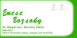 emese bozsoky business card